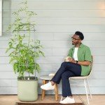 Self-Watering Tomato Planter Box with Trellis