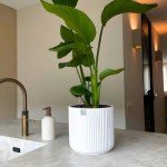 Self-Watering Ceramic Pot for Indoor Plants