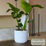 Self-Watering Ceramic Pot for Indoor Plants