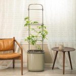 Self-Watering Tomato Planter Box with Trellis