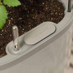 Self-Watering Tomato Planter Box with Trellis