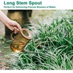 Brown Long Spout Watering Can for Indoor Plants