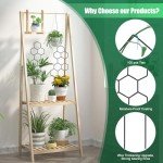 Metal Plant Trellis for Indoor Potted Plants - 2 Pack