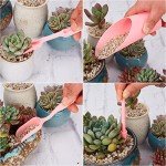 24-Piece Mini Garden Tools Set for Succulents