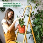 Metal Plant Trellis for Indoor Potted Plants - 2 Pack