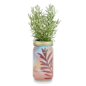 Mason Jar Herb Garden Starter Set with Seeds