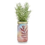 Mason Jar Herb Garden Starter Set with Seeds