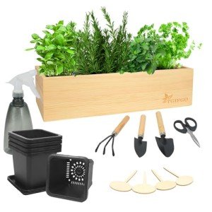 Indoor Herb Garden Kit with Wooden Box & Tools