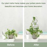 Metal Plant Trellis for Indoor Potted Plants - 2 Pack