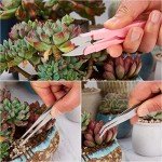 24-Piece Mini Garden Tools Set for Succulents