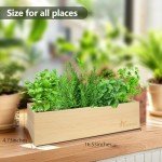 Indoor Herb Garden Kit with Wooden Box & Tools