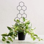 Metal Plant Trellis for Indoor Potted Plants - 2 Pack