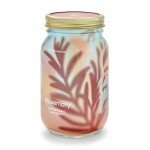 Mason Jar Herb Garden Starter Set with Seeds