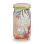 Mason Jar Herb Garden Starter Set with Seeds