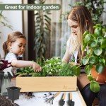 Indoor Herb Garden Kit with Wooden Box & Tools
