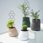 Metal Plant Trellis for Indoor Potted Plants - 2 Pack