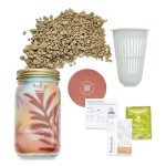 Mason Jar Herb Garden Starter Set with Seeds