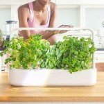 Click and Grow Smart Garden 9 PRO with Bluetooth