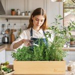 Indoor Herb Garden Kit with Wooden Box & Tools