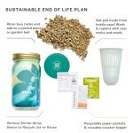 Mason Jar Herb Garden Starter Set with Seeds