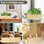 Indoor Herb Garden Kit with Wooden Box & Tools