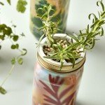 Mason Jar Herb Garden Starter Set with Seeds