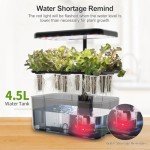 Indoor Hydroponic Garden Kit with LED Grow Light