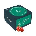 Mini Snackable Strawberry Hydroponic Garden Kit