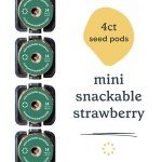 Mini Snackable Strawberry Hydroponic Garden Kit