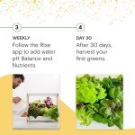Rise Gardens Hydroponic Indoor Garden Kit with LED