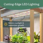 Rise Gardens Hydroponic Indoor Garden Kit with LED
