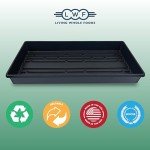 10-Pack No Drain Plant Growing Trays 20" x 10