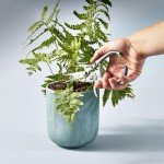 Lightweight Green Gardening Shears by Modern Sprout