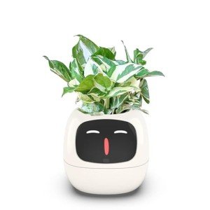 Smart Indoor Planter with AI and Sensors