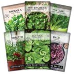 Hydroponic Vegetable Seeds for Indoor Gardens