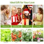 Smart Hydroponics Indoor Herb Garden with LED Light