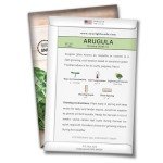 Hydroponic Vegetable Seeds for Indoor Gardens