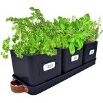 Set of 3 Black Indoor Herb Planters