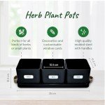 Set of 3 Black Indoor Herb Planters