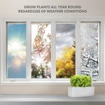 Smart Indoor Herb Garden Kit with Grow Light