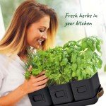Set of 3 Black Indoor Herb Planters