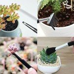 17-Piece Succulent Gardening Tool Set with Mat