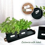 Set of 3 Black Indoor Herb Planters