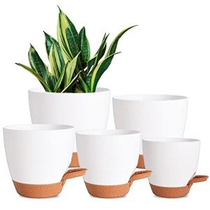Vanslogreen Self-Watering Indoor Plant Pots - 5 Pack
