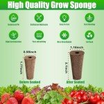 Ambgrow 50 Pack Hydroponic Seed Starter Pods