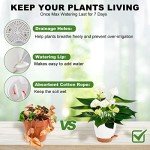 Vanslogreen Self-Watering Indoor Plant Pots - 5 Pack