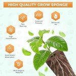 Yizhet 60 Grow Sponges for AeroGarden Systems