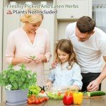 Oliz 6-Pot Windowsill Herb Garden Planter