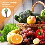 Yizhet 60 Grow Sponges for AeroGarden Systems