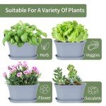 Oliz 6-Pot Windowsill Herb Garden Planter